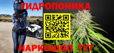кокс Аргун