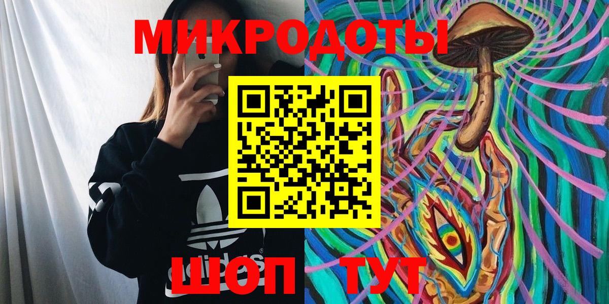 Псилоцибиновые грибы Psilocybe Братск